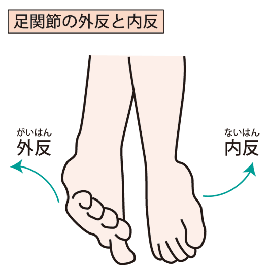内反捻挫と外反捻挫の画像